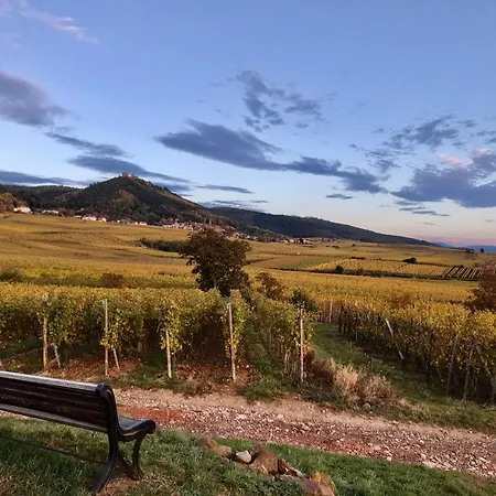 Chabi Au Coeur D'eguisheim Apartment