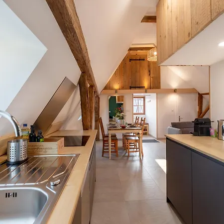 Chabi Au Coeur D'eguisheim Apartment *
